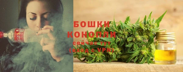 винт Сясьстрой