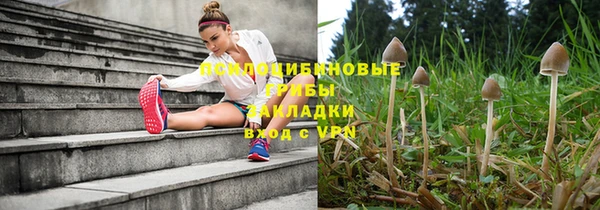 прущая мука Тайга