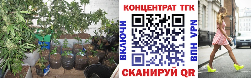 shop состав  Цивильск  Дистиллят ТГК THC oil  omg как войти 