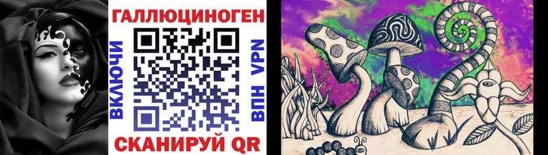 Псилоцибиновые грибы мицелий  наркота  Цивильск 